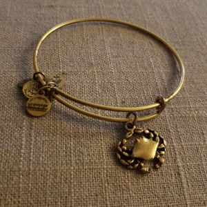 Alex and Ani gold crab bangle